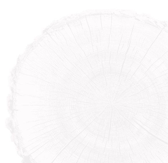 Image d'une écorce d'arbre