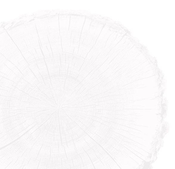 Image d'une écorce d'arbre